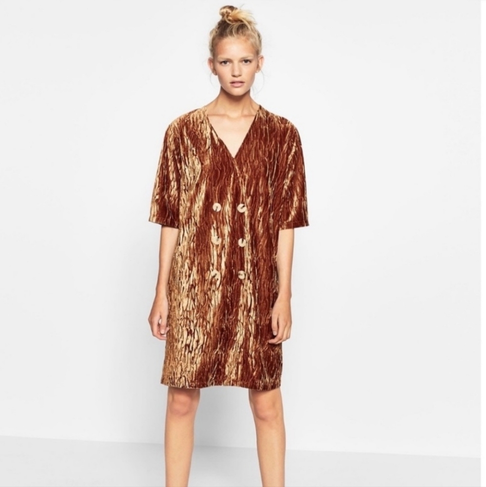 Zara Crossover 6-Button Crushed Velvet Shift Dress